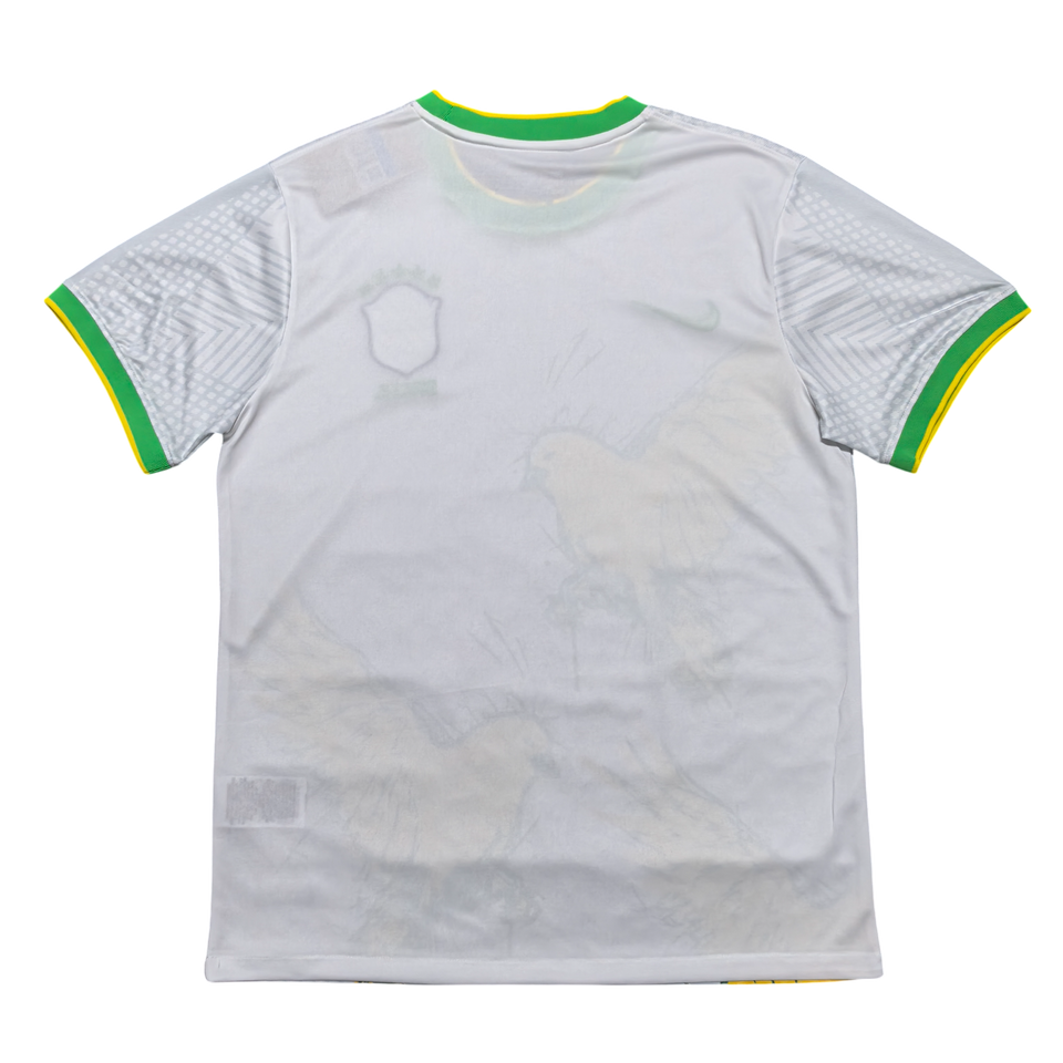 Maillot Brésil 2024-25