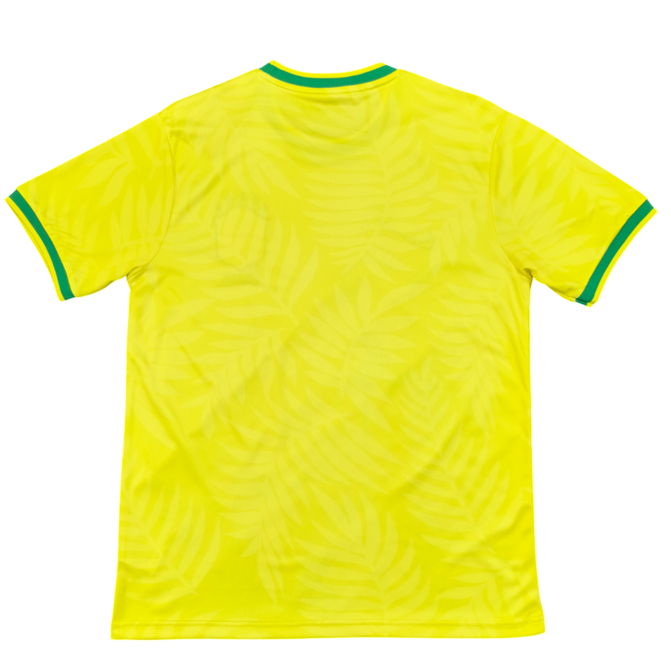 Maillot Brésil 2024-25